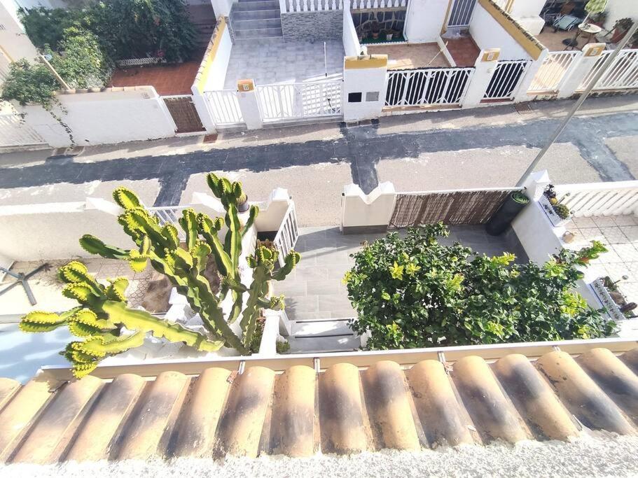 Rincon Mediterraneo גראן אלקנט מראה חיצוני תמונה