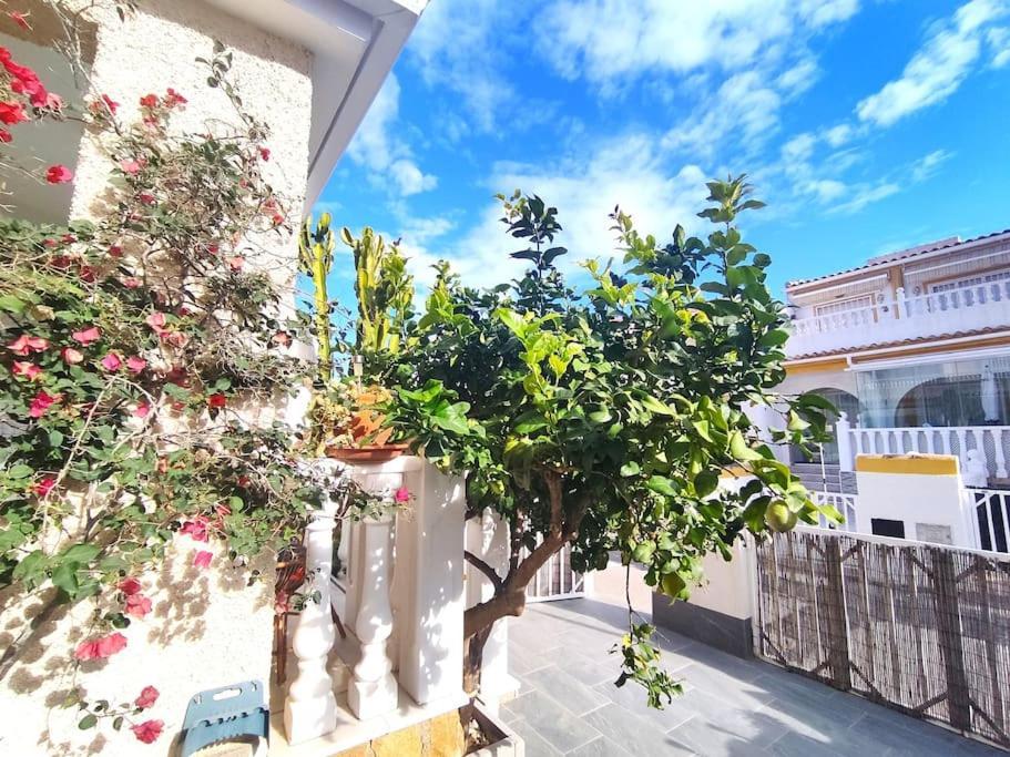 Rincon Mediterraneo גראן אלקנט מראה חיצוני תמונה